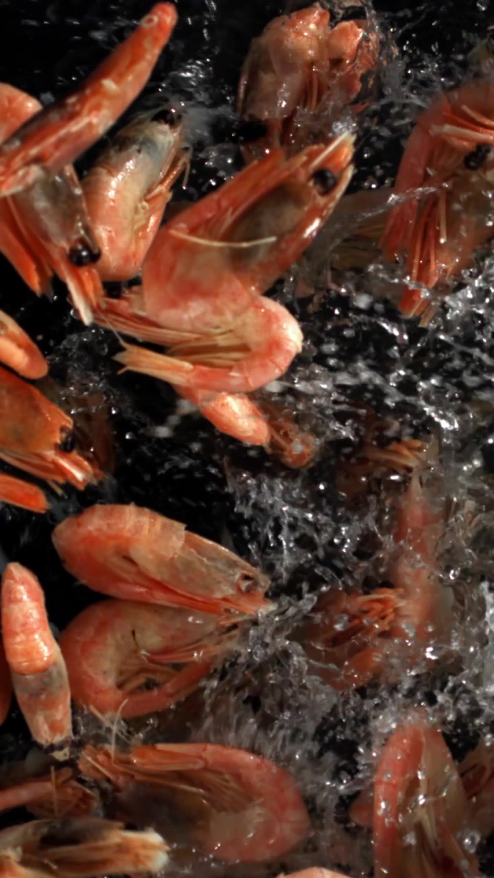 Cooked Shrimp Splashing in Water on Black Background