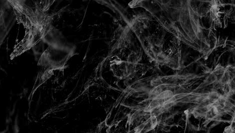 transición de humo de tinta - animación de transición que se asemeja a la tinta o el humo. abstracción en blanco y negro en forma de humo