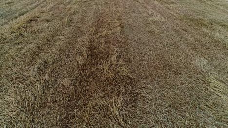 Aerial-Shot-of-Agriculture-Field