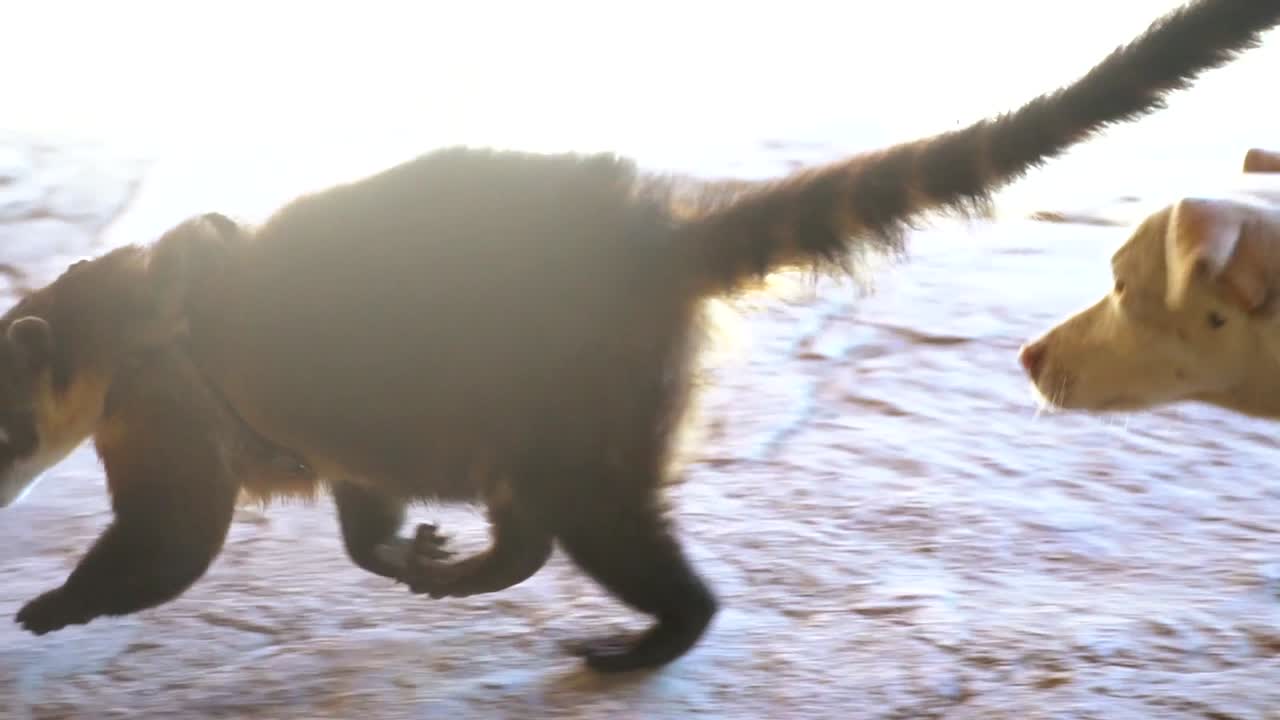 중첩 시퀀스 29.mp4