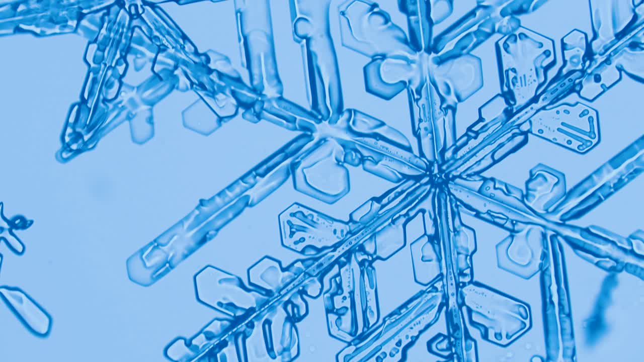 Snowflake crystals under microscope bright field with color filters