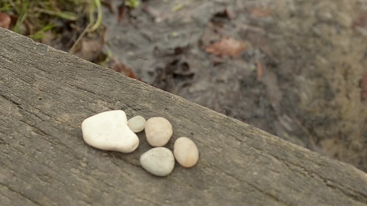 목조 다리의 해안가에 있는 자갈