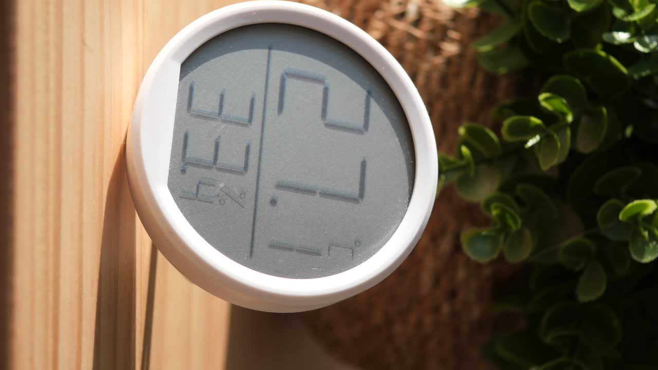 Digital Thermometer and Humidity Sensor on Wooden Wall with Plant