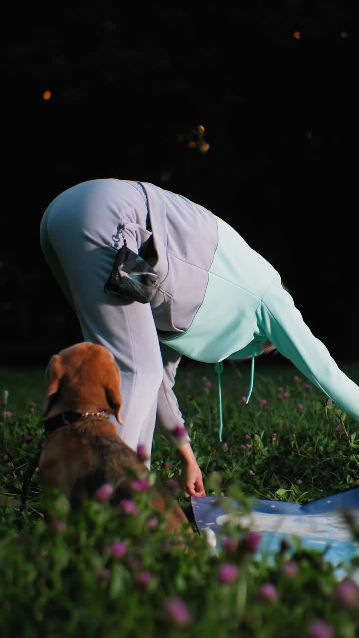 황혼 하늘 아래에서 나이 지긋한 여성이 그림이 그려진 담요를 정리하고, 비글이 가까이 앉아 있네요. 여성이 모서리를 다듬은 다음 앉을 자리를 정하고, 멀리서 부드러운 불빛이 비치고, 사색에 잠긴 분위기 속에서 부드럽게 쓰다듬으며 조용히 함께 시간을 보내요.