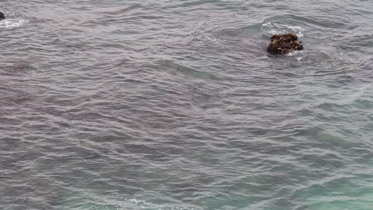 바다의 파도가 바위가 있는 해안선과 상호 작용합니다.