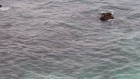 ocean waves interacting with rocky shoreline