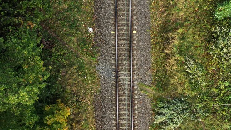 Aerial View of Train Tracks in a Forest