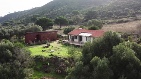 drone shot of sun drenched hilly landscape with farm building, plantations, fields and trees