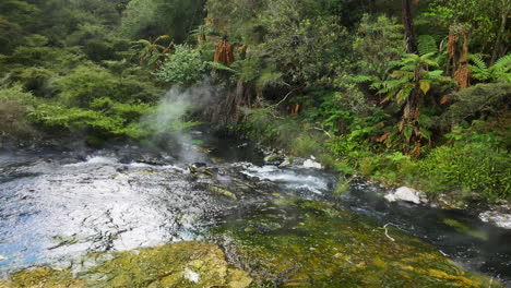 toma idílica del arroyo del valle de waimangu hirviendo y flotando cuesta abajo en la verde y densa jungla en nueva zelanda