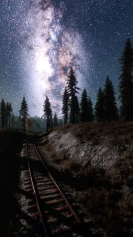 las vías del tren nocturno a través del bosque de la vía láctea