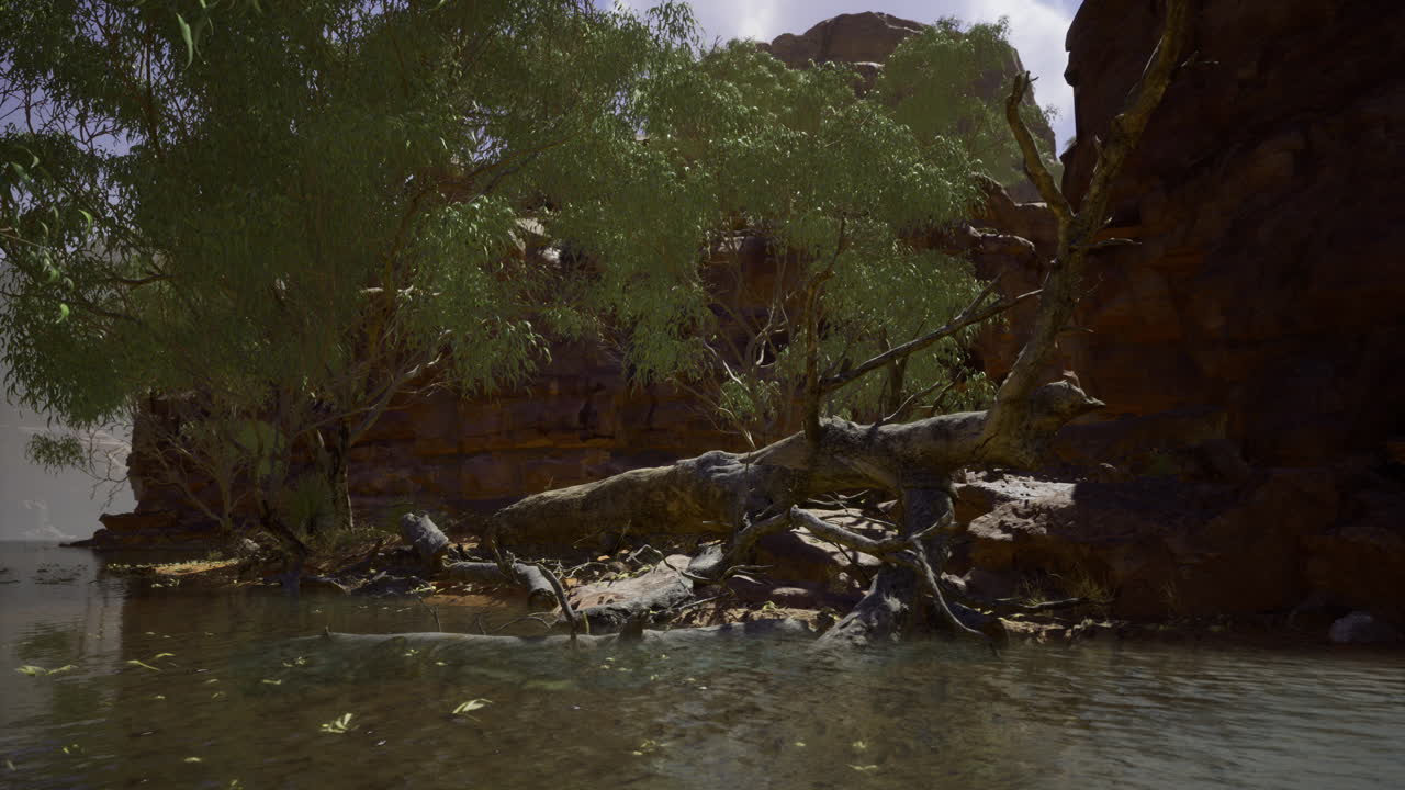 Scenic view of a lush riverbank with trees and rocky cliffs at midday