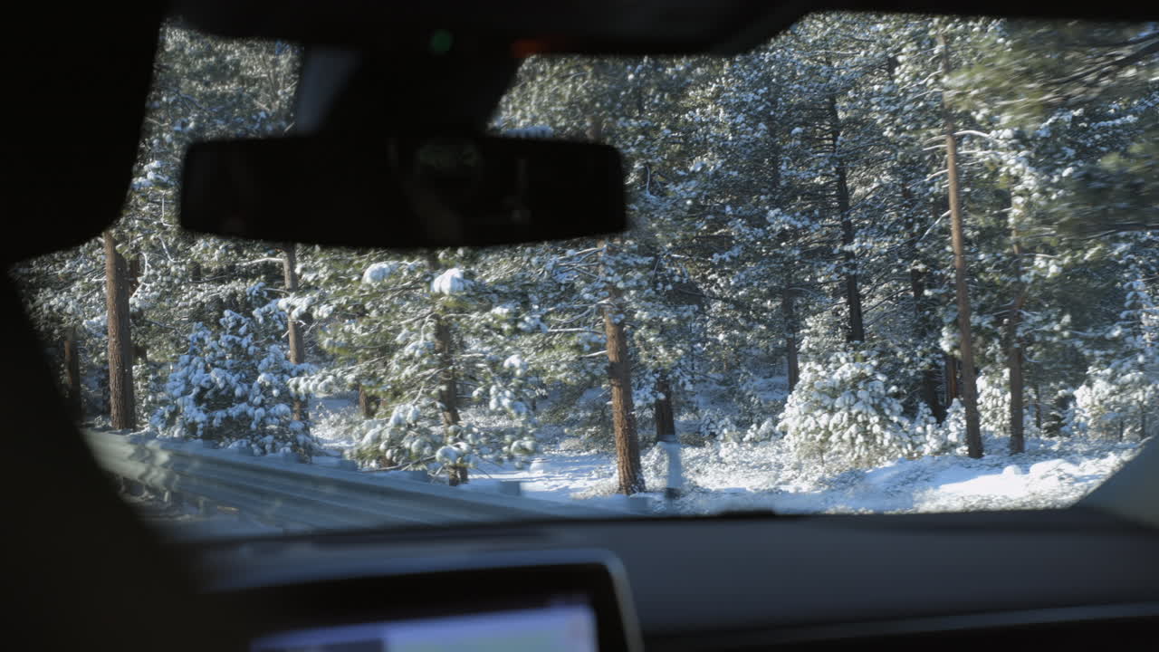 pov desde el asiento trasero del automóvil que viaja a través del paisaje del bosque del lago de nieve y abetos de douglas con enfoque en el espejo retrovisor