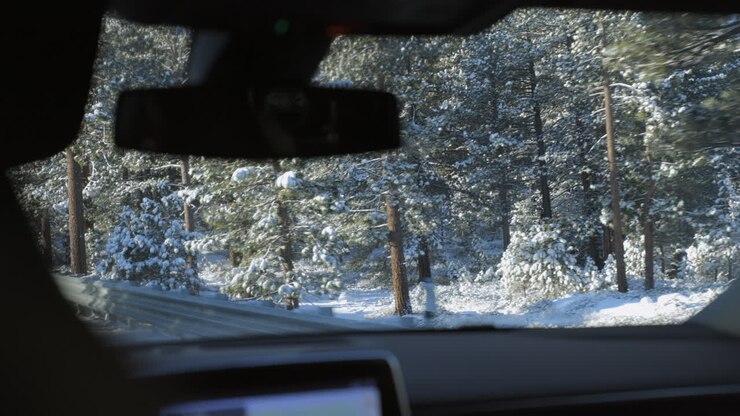 POV from backseat of car traveling through Lake Forest landscape of snow and Douglas Fir trees with rack focus to the rearview mirror