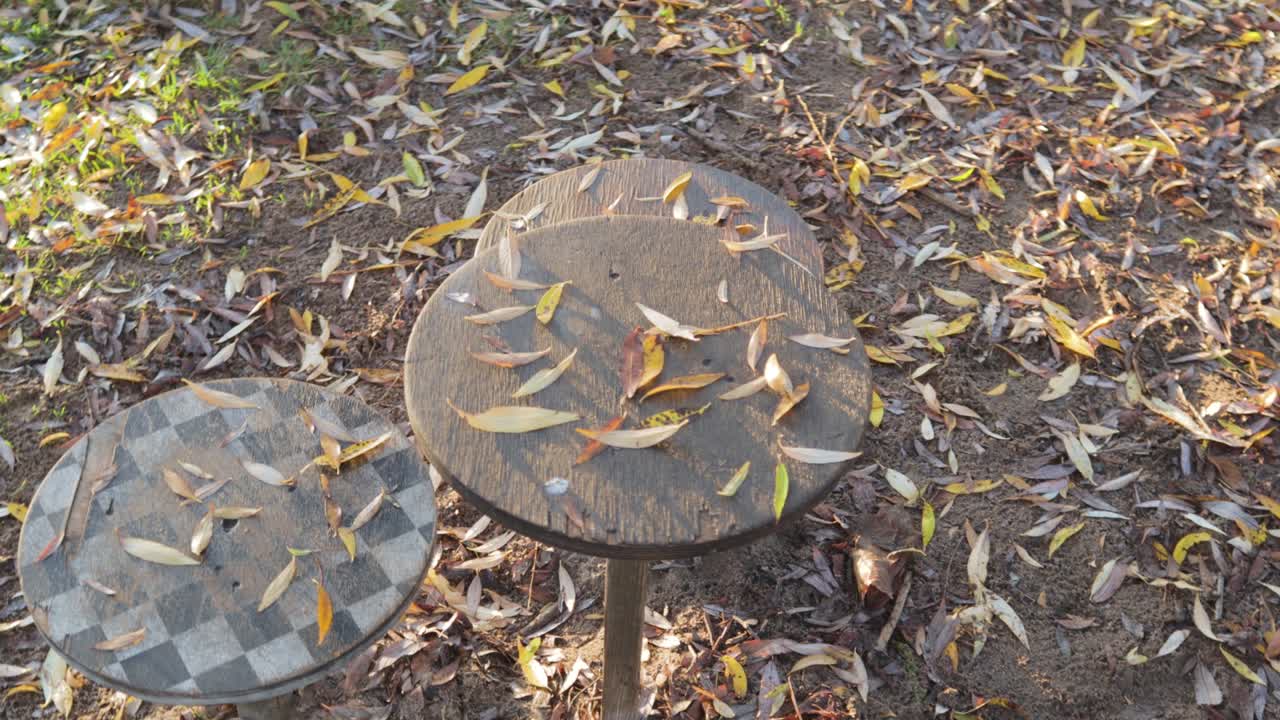 Carousel in the playground strewn with autumn leaves yellow season background