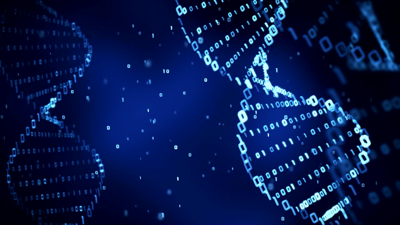 DNA structure (loop)