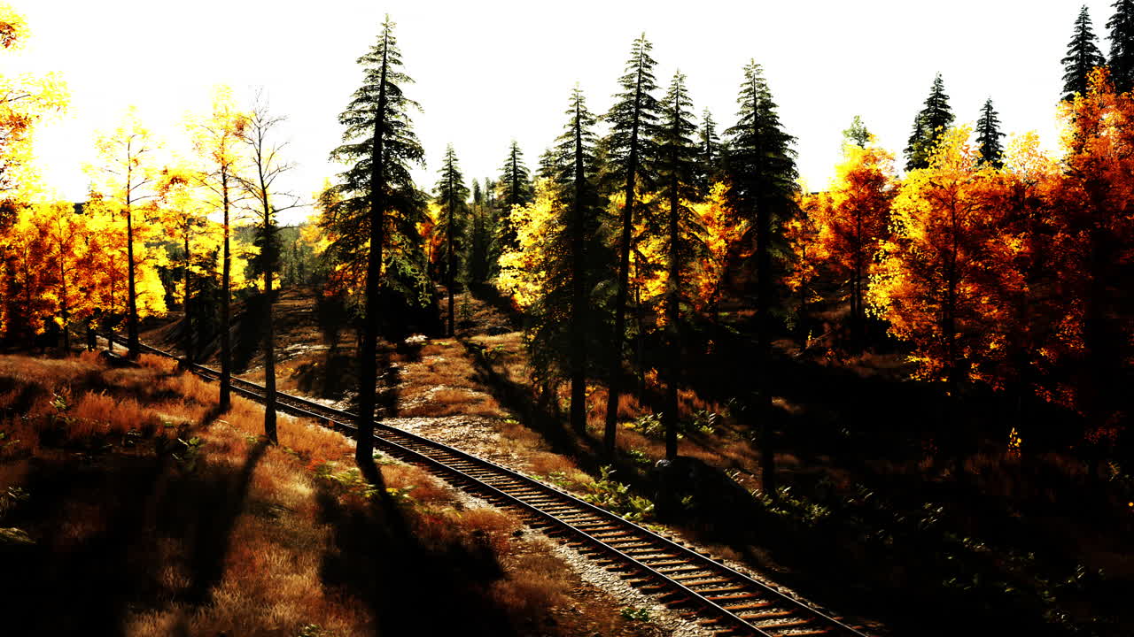 숲 속 의 가을 철도