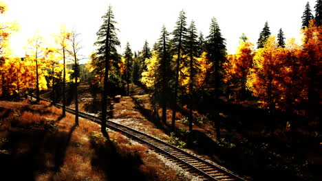 ferrocarril de otoño en un bosque