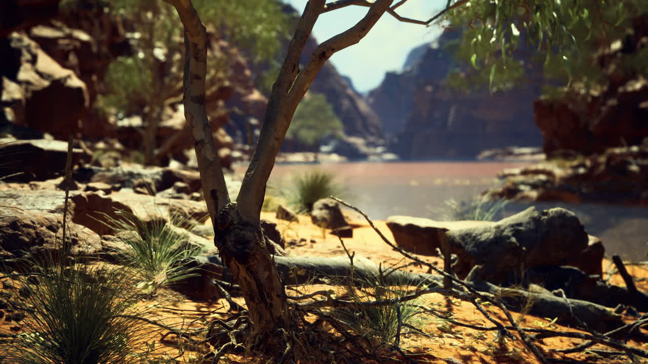 Serene river view framed by rocky cliffs in daylight
