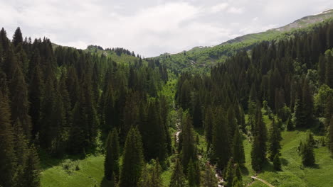 Aerial-of-a-small-mountain-creek-surrounded-by-a-green-forest-and-meadow