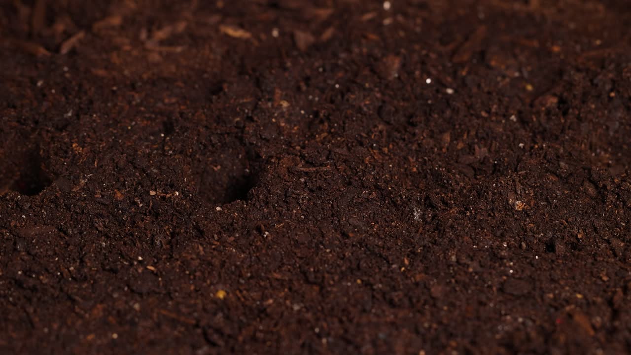 Close-up of hands planting seeds in dark, moist soil under soft lighting, highlighting gardening and growth