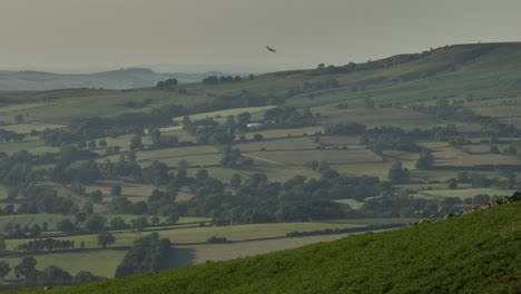 birds flying house martins rural england cleehill shropshire aerial view