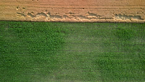Aerial-drone-photo-of-agriculture-farmland-during-sunset