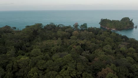 dense forest at punta mona island with seascape in costa rica