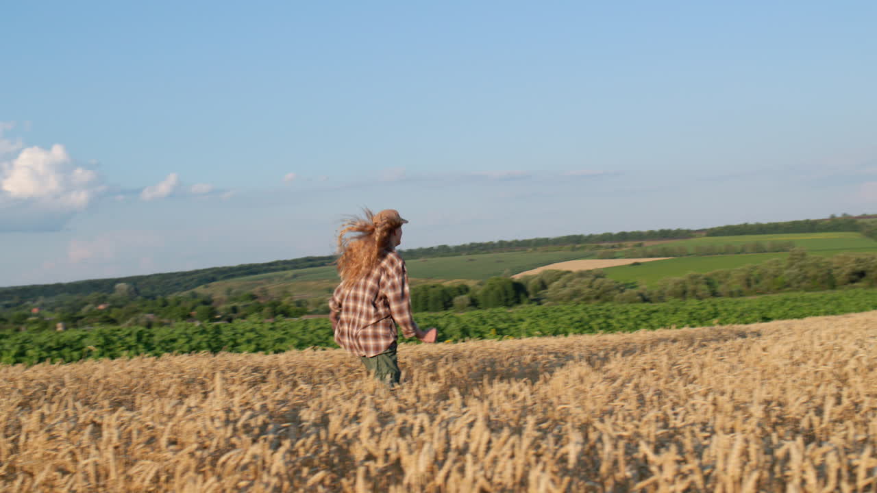 십대 소녀가 그림 같은 밀을 가로질러 달린다. 느린 동작 비디오