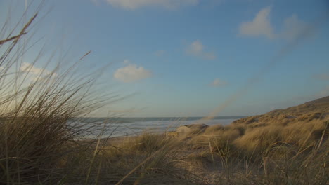 Strong-wind-blowing-through-sand-dunes-at-Perran-Sands-Beach,-shaky