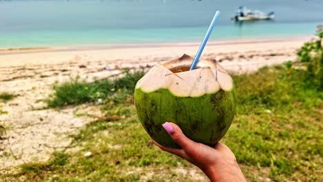 hand holds coconut drink on pink beach in lombok, relaxing tropical scene