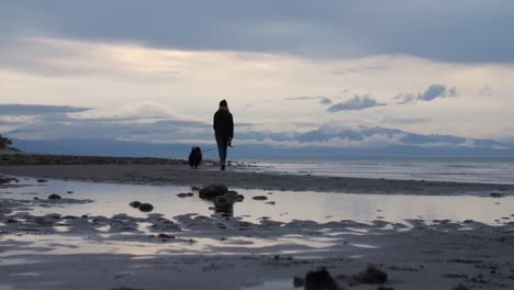 Verspielter-Miniatur-Australischer-Schäferhund-Mit-Ihrem-Besitzer-Am-Strand