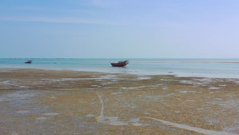 scenic view of boats stranded on land during low tide