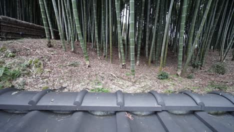 a left to right pan of a bamboo forest with shingles in the foreground