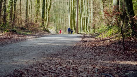 Padre-Caminando-Con-Sus-Hijos-En-El-Bosque