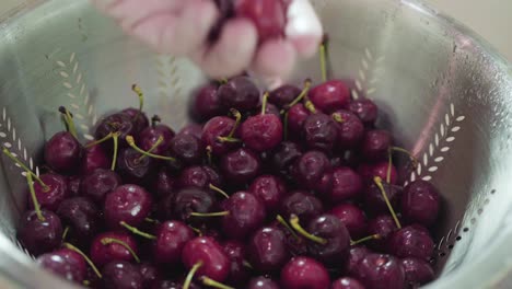 lavado de cerezas rojas orgánicas