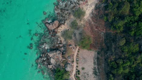 transparent-ocean-water-by-brown-rocky-coastline-and-forest