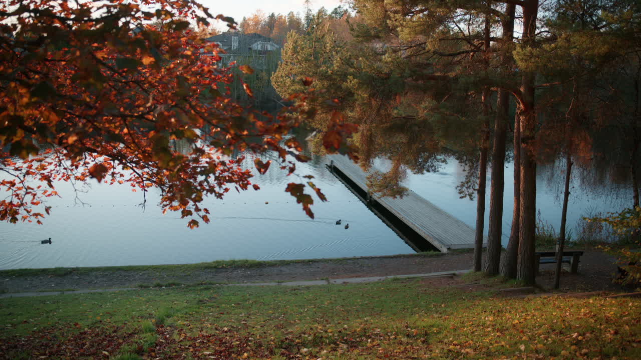 Wide shot of a small lake with branches with leaves in the foreground on a sunny October day in Oslo, Norway