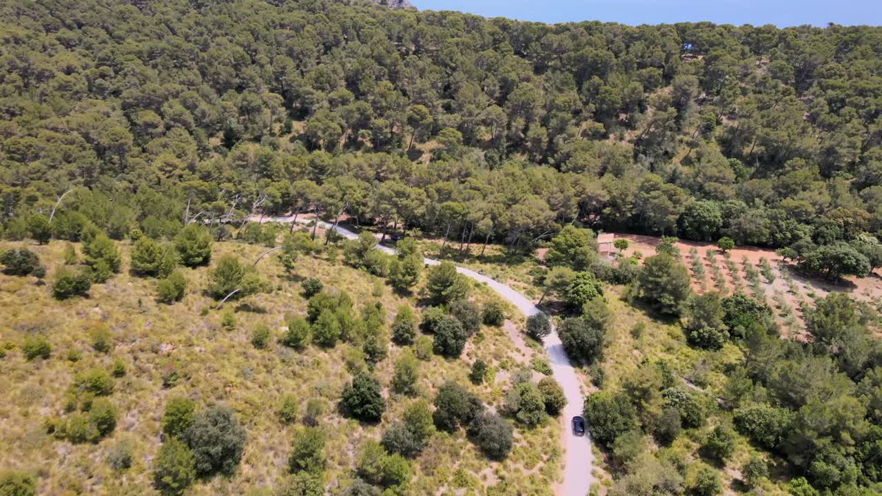 A journey through the winding roads of Coll Baix in Mallorca showcases lush greenery and stunning landscapes near Puerto de Alcudia, offering beautiful views of nature and tranquility.