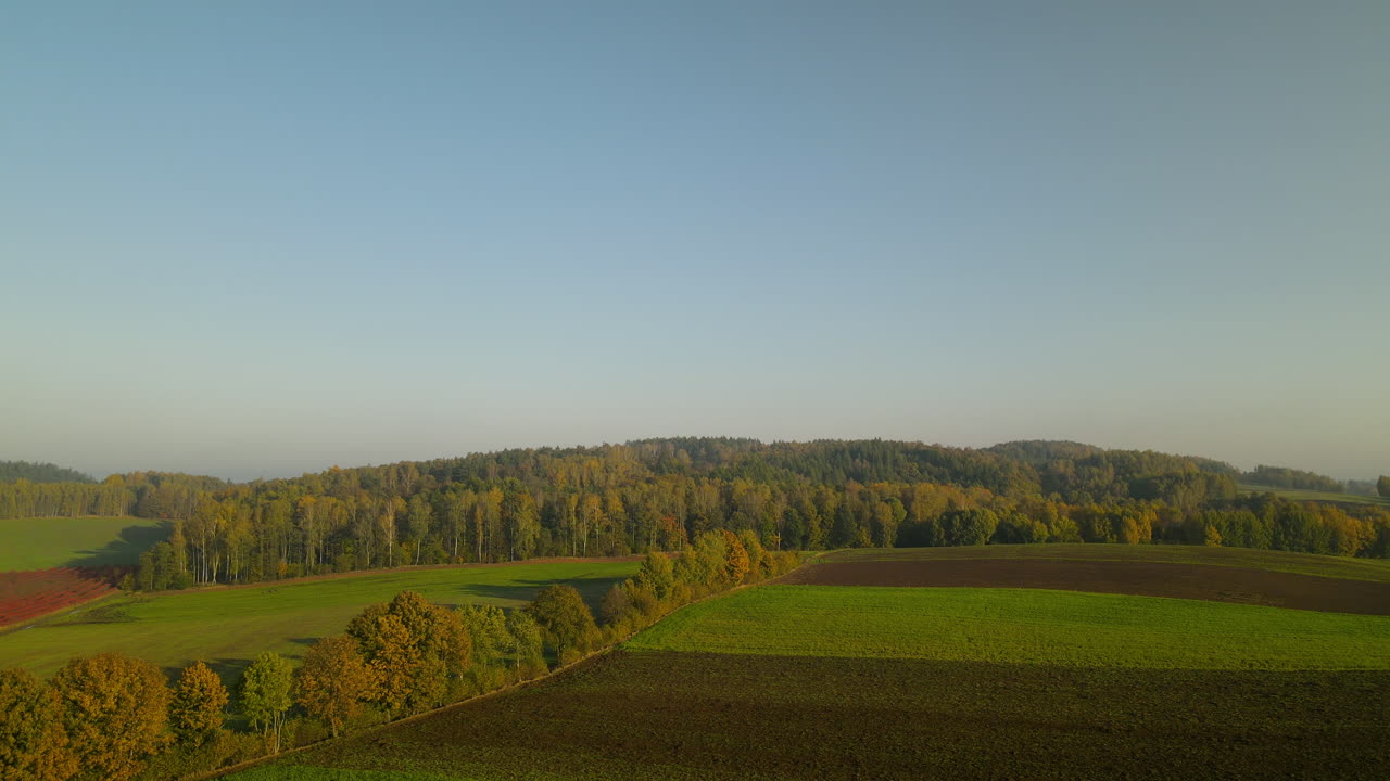 Scenic aerial drone view of tree lined road and forest with farmland fields under blue sky