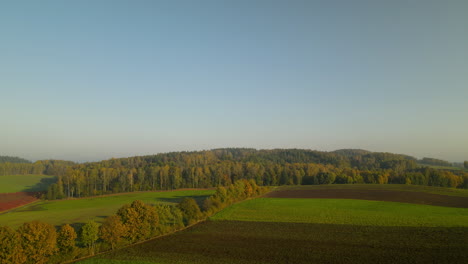 Scenic-aerial-drone-view-of-tree-lined-road-and-forest-with-farmland-fields-under-blue-sky