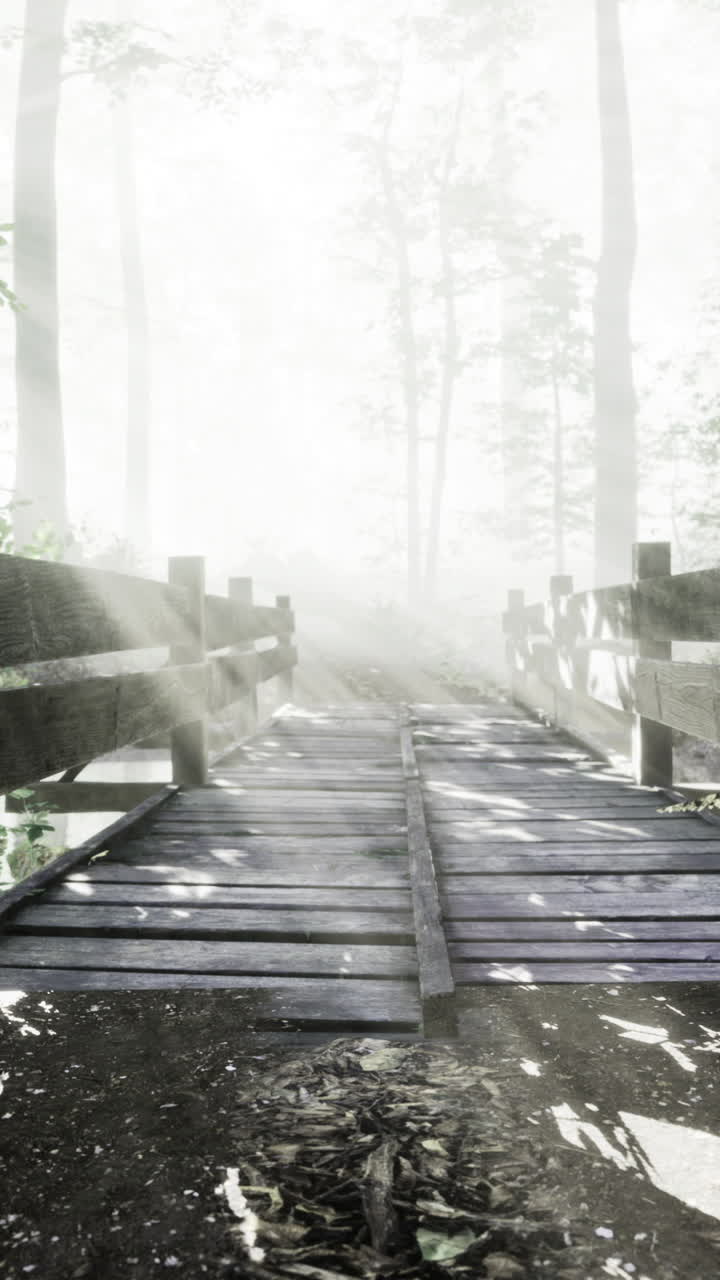 Mysterious bridge in a foggy forest at dawn invites exploration and wonder