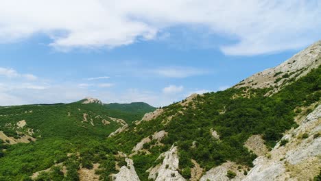 mountainous landscape with lush green forest