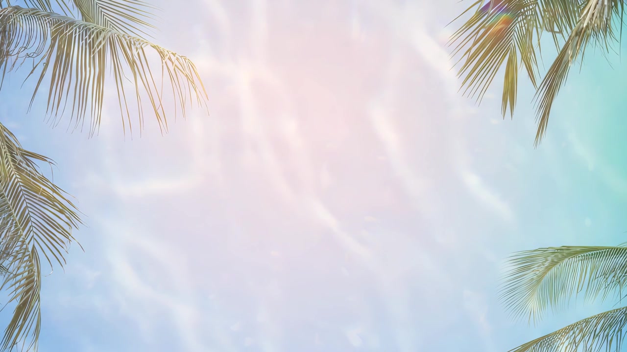 Tropical Palm Fronds Frame Shimmering Water Reflections and Gradient Sky