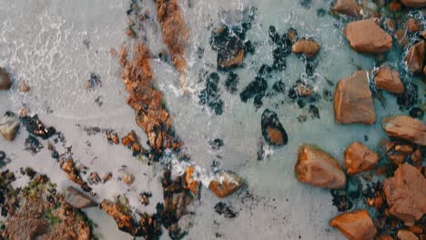 top view aerial of atlantic ocean waves crashing against beautiful natural red brown rocks with algae at west coast in france, brittany