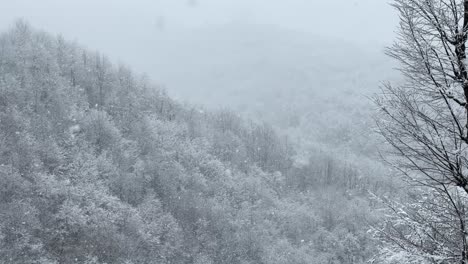 forest-trees-on-frozen-hill-covered-by-heavy-snow-in-winter-season-Hyrcanian-forest-nature-minimal-scenic-landscape-of-wonderful-winter-snow-environment-nature-protection-in-rural-village-countryside