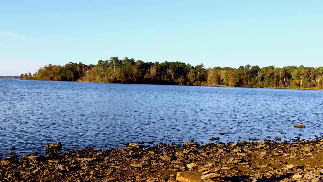 Static footage of Lake O' the Pines in Texas. Rocks can be seen in the foreground and pine trees along the shore in the background