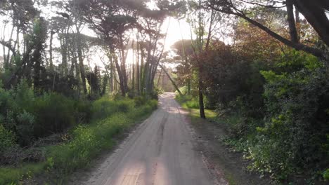 POV-Antenne-über-Sandstraße-Zu-Den-Sanddünen-Von-Cariló,-Argentinien