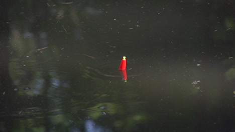 Pesca-De-Agua-Dulce-Y-Aparejos-Pesca-De-Agua-Dulce-Y-Aparejos