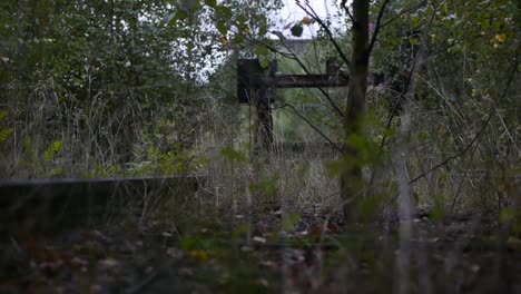 Wandern-Und-Lauern-In-Der-Nähe-Der-Bahngleise-Im-Wald