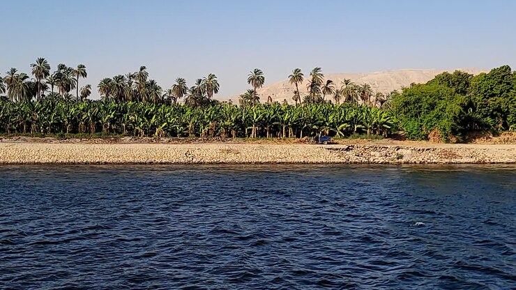 Crops and farms on the banks of the Nile